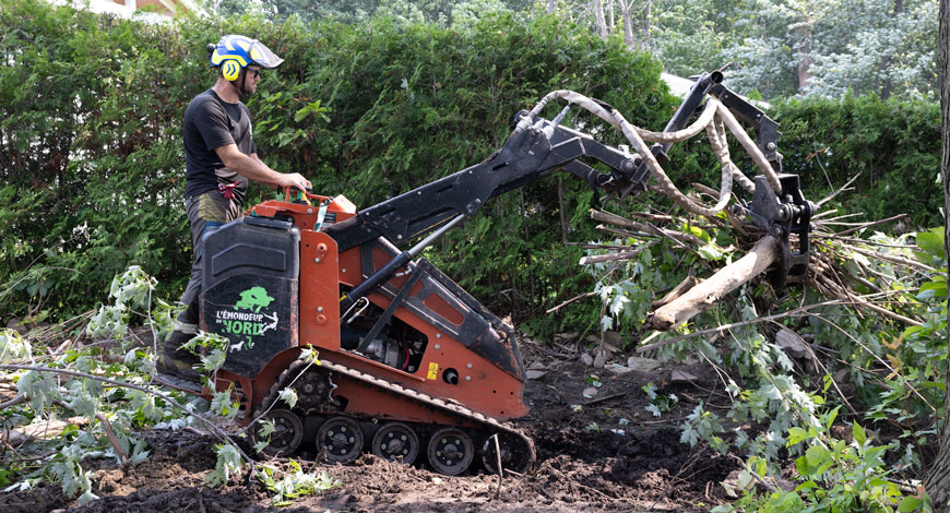 Urgence pour arbres ou branches brisés nécessitant un abattage ou élagage