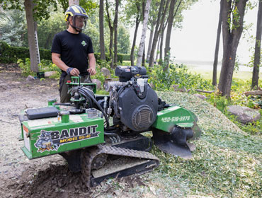 Essouchage - Enlever souche et racines - Rive-Nord Montréal et Laval