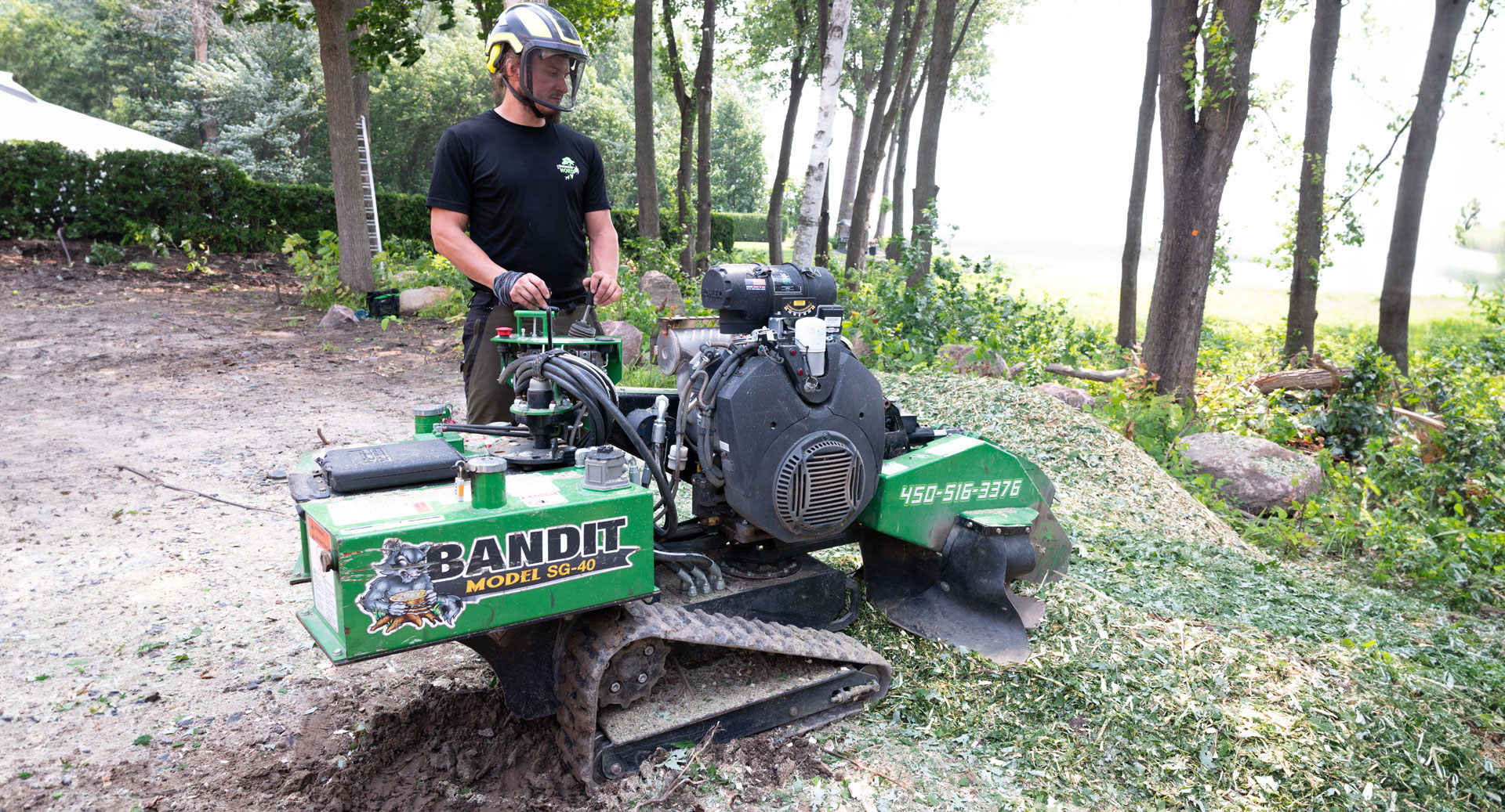 Service d'essouchement - enlever souche d'arbre