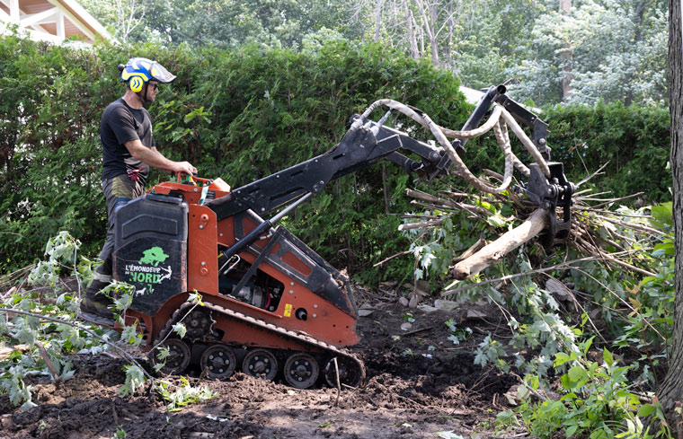 Urgence coupe arbres et branches